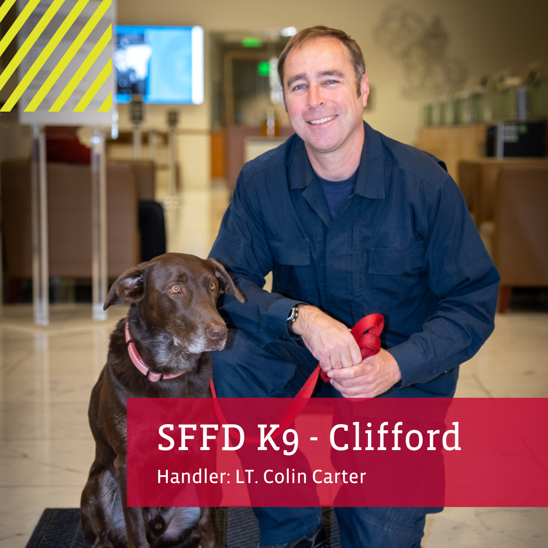 Photo of Sponsor Clifford