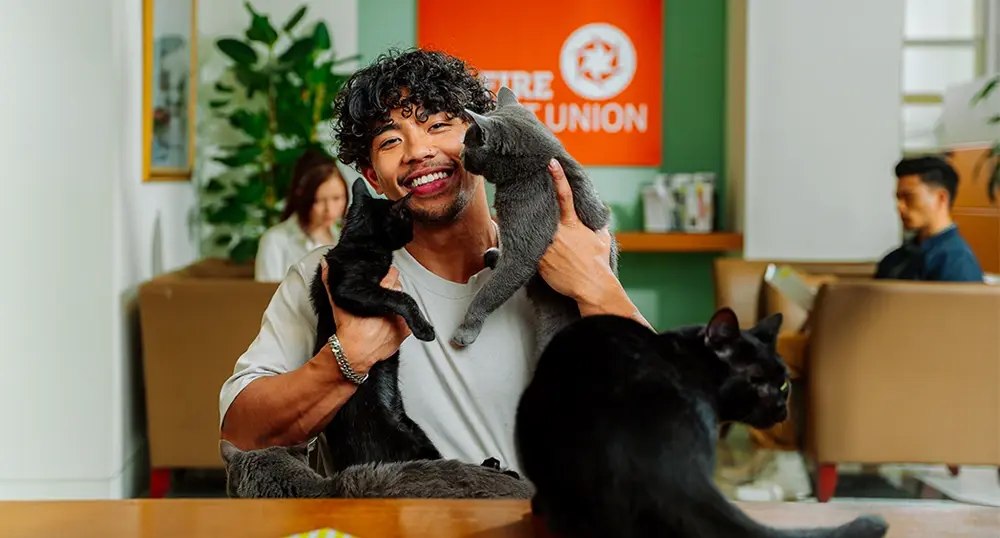 Guy with multiple cars at SFFire branch