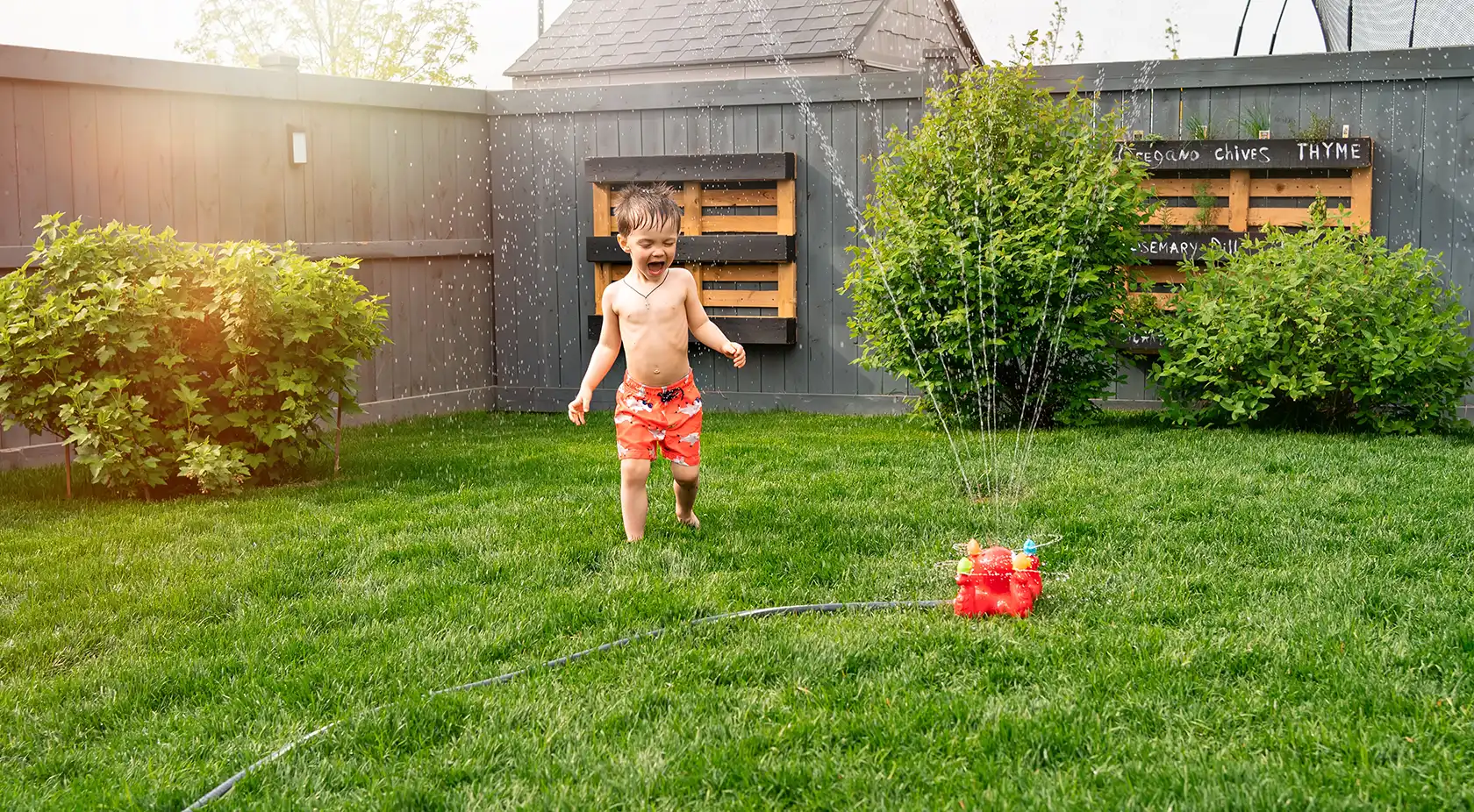 Boy Playing outside
