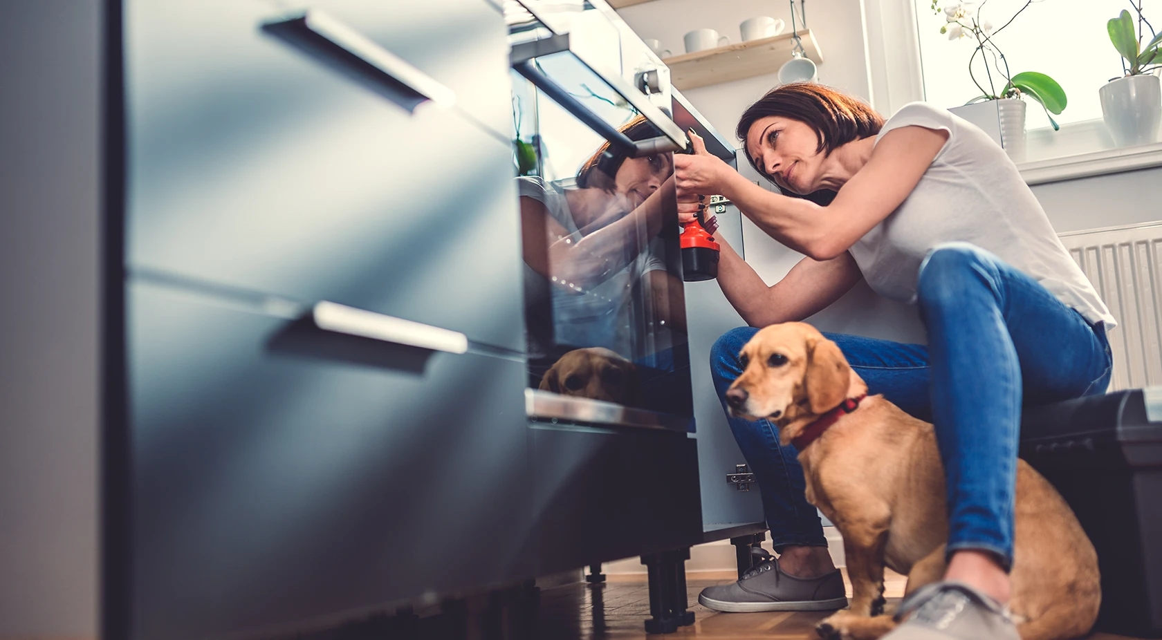 Fixing dishwasher with dog