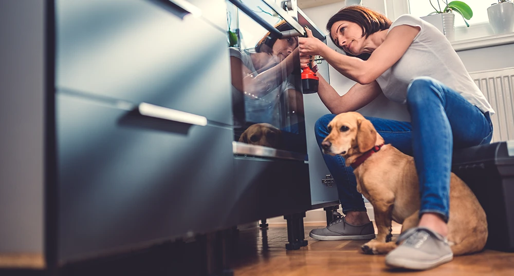 Fixing dishwasher with dog